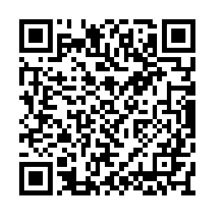 最后已经没有人知道到底有多大的地面在粉碎了二维码生成