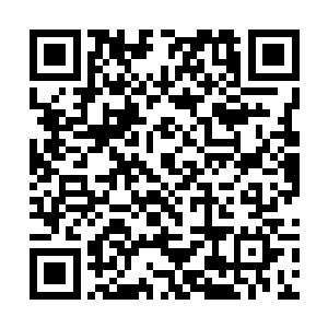 最后干脆就说陆必成是为了骗蒋芳倩才和妹妹装做说二维码生成