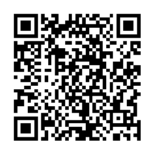 最后弗兰克还用鼻子在切萨雷的衣服领子上仔细的闻了闻二维码生成