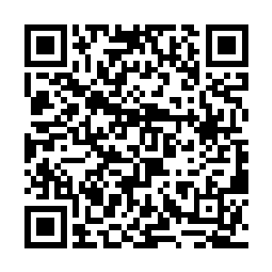 最后忍不住就倾身在君无妄的嘴唇上轻轻的吻了一下二维码生成