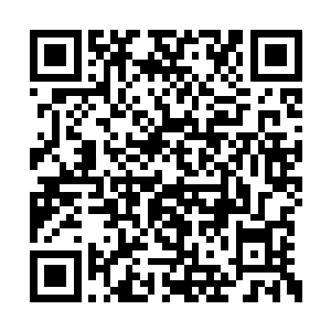 最后快乐王子和小燕子不是都被送到神的花园里二维码生成