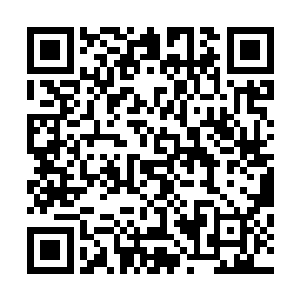 最后成功控制了星罗王朝和北斗王朝境内的商品供应和流通二维码生成