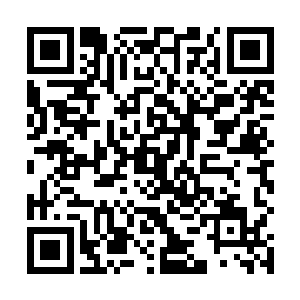 最后成整个世界交付于他信任而他也开始信任整个世界二维码生成
