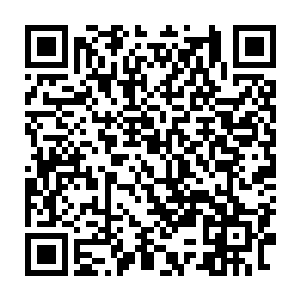 最后我的原主人在冒险使用它和这颗星球剩下的两位古神同归于尽后二维码生成