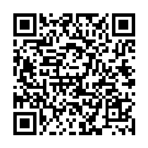 最后才在距离楚旬几乎有百余米的丛林植被中轰然爆炸二维码生成