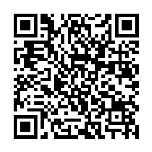 最后推测的结果是当初的三族族长与星空兽同归于尽二维码生成