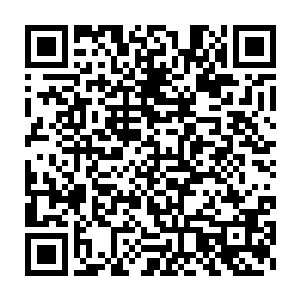 最后更是猛然剥离下一片巨大而晶莹剔透如同水晶镜子一般的鳞片二维码生成