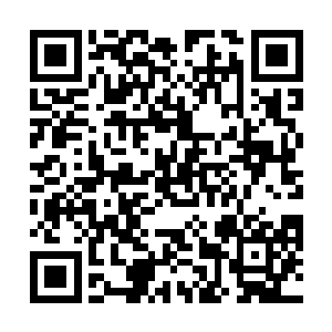 最后杜紫藤也只好等着回去跟他老爹杜启岩商量一下了二维码生成