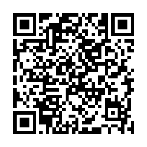 最后杨博的目光落到了杨啸天身边的一个蒙面女子的身上二维码生成