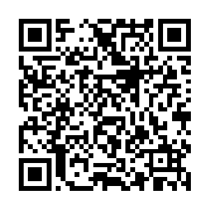 最后的一句话直接的就让孙丽莎有那么一些哑口无言二维码生成