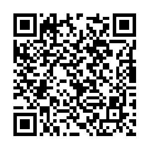 最后的五百名弟子将会直接被剥夺内门弟子的身份二维码生成