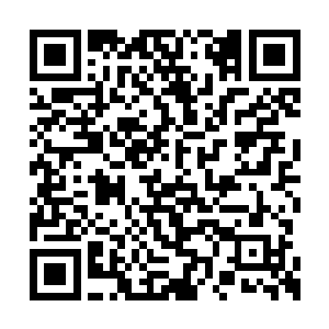 最后的那一顿耳光分明就是玄冰大长老心慈面软二维码生成