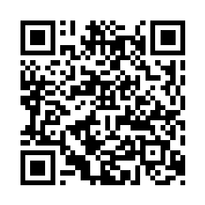 最后的那个支线任务……是系统给我们的二维码生成