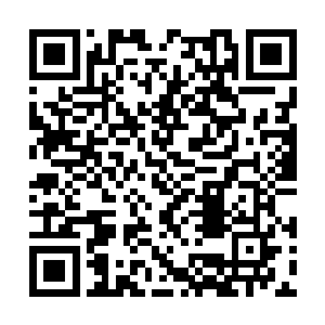 最后的院线一直坚持到了奥斯卡颁奖典礼举行前夕二维码生成