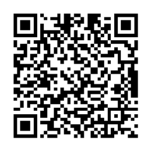 最后目光定格在了一位穿着掌门服饰的四劫真仙身上二维码生成