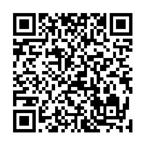 最后目光落在一脸淡漠似是整个人都没了灵魂的长富身上二维码生成