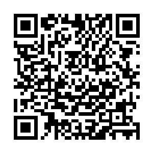 最后看向了妖族中的俩个负责拦截人类修士的十重仙修士二维码生成