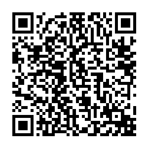 最后竟然连两大神殿大名鼎鼎的三大执法长老和四大神将都给招惹出来了二维码生成