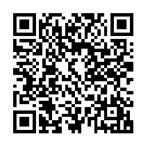 最后结合当前国内政治气候和经济政策的展望来为这篇文章定性二维码生成