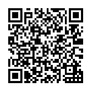 最后结果真输了也无所谓啦――关键是我也真没什么好办法二维码生成