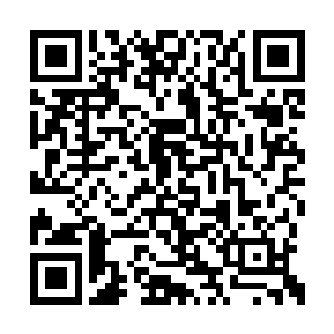 最后脑袋里只疯狂地惨嚎着一个声音－－怎么办二维码生成