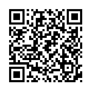 最后落在与大儒聂守德交战的两头大蛮王身上二维码生成