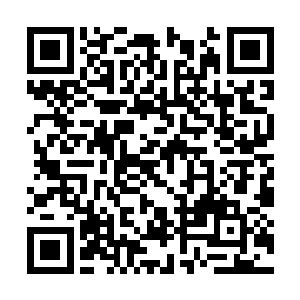 最后被忍无可忍的第四军团给塞到了二十三军……二维码生成
