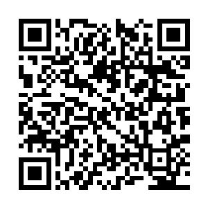 最后被那混沌钟上散发出来的青铜光辉给彻底镇压二维码生成