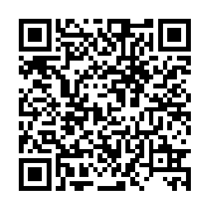 最后谈到全能机器人和能够进化出自主意识的机甲二维码生成