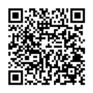 最后还很轻松地把幸存者全部送进了更为安全的那座半岛二维码生成