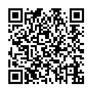 最后还是一脸便秘的把缩在一边的紫涟漪意识拖了过来二维码生成