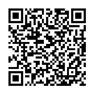 最后还是把目光锁定在近处几乎就在脚下的那些同伴身上二维码生成