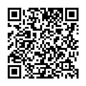 最后还是死乞白赖的从我口袋挖了十块钱外加一包烟走了二维码生成