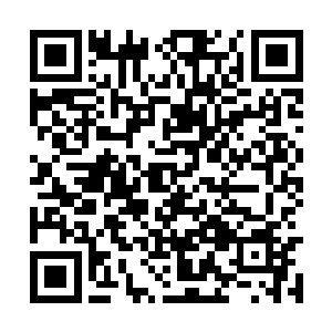 最后还是洪涛上去一把把韩雪手里的电话抢了过来二维码生成