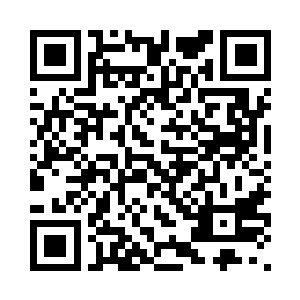 最后还是被一头飞行仙兽给破坏了二维码生成