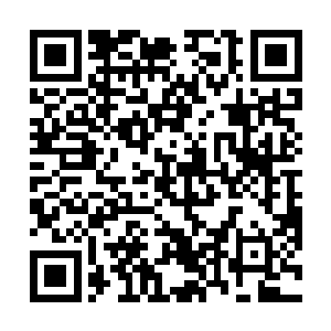 最后这些剑气竟然以龙傲天为中心开始缓缓的旋转起来二维码生成
