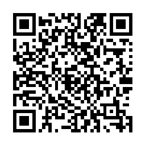 最后选了一套占地面积两百平带阁楼和空中花园的两层别墅二维码生成
