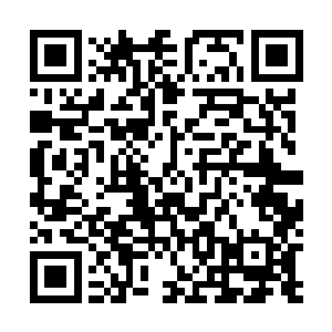 最后选择翻身仰躺在山丘草丛里看着湛蓝的天空一言不发二维码生成