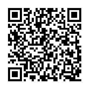 最后铺在皇帝案上的是峡西六州和玉京城灵势图二维码生成