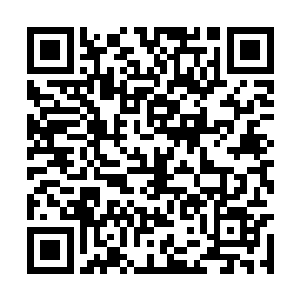 最后附有五个各系的小法术和一些不分五行的法术二维码生成