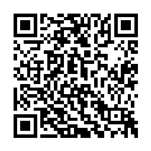 最后顷刻间化作十二尊恐怖的万米的血色的巨人二维码生成