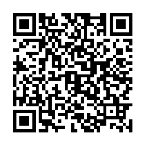 最后飞龙部落可不是就没有精通草药治疗方面的了二维码生成