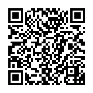 最后龙傲天也将自己之前收获的几乎所有的宝藏都留给了天龙宗二维码生成
