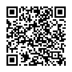 最后龙傲天从身上拿出一些玉符给了龙霸天他们二维码生成