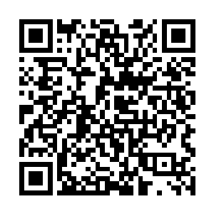 最后龙傲天将给天龙宗留下的东西也都放到了阵法中二维码生成