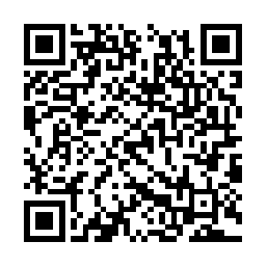 最后龙傲天的目光定格在了不远处的一棵大树下面二维码生成