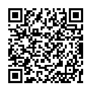 最后龙傲天的目光定格在了胡家的大长老的身上二维码生成