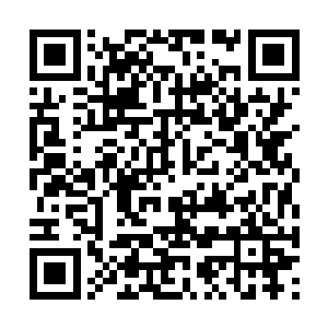 最后龙傲天直接将巨大的石碑立在了宗门的大门口二维码生成