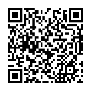 最后龙王也是如愿以偿的将那些龙族留在了圣龙星二维码生成