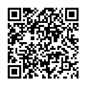 最喜欢就是每天带着青蛩过去听那些远行者们八卦二维码生成